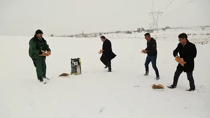 Başkan Cabbar, hayvanlar için doğaya yiyecek bıraktı
