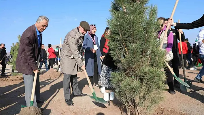 Çolakbayrakdar: Bu yıl, 126 binden fazla ağacı toprakla buluşturduk