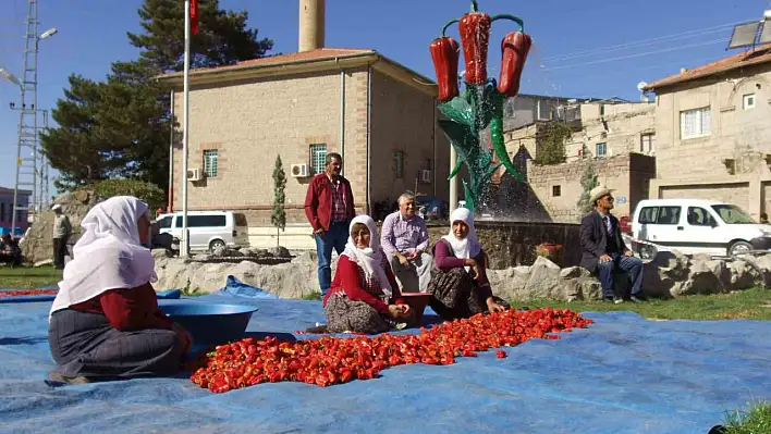 Kocasinan'ın coğrafi işaretli ürünleri dünya çapında tanınacak!