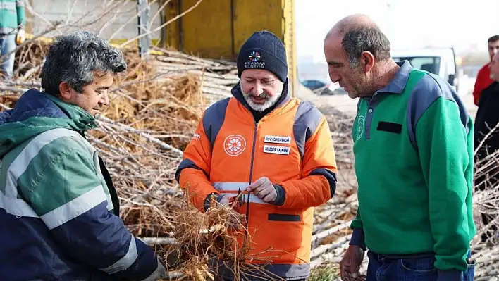 Çolakbayrakdar: Kocasinan'da yemyeşil bir bahar olacak!