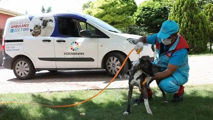 Çolakbayrakdar: Küçük Dostlar Ambulansı, 4 bin 401 can kurtardı