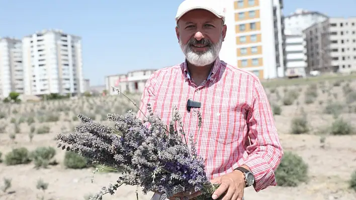 Başkan Çolakbayrakdar'dan müjde