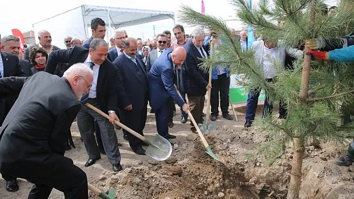 Başkan Çolakbayrakdar, &quotBoztepe'yi Yeşertiyoruz"