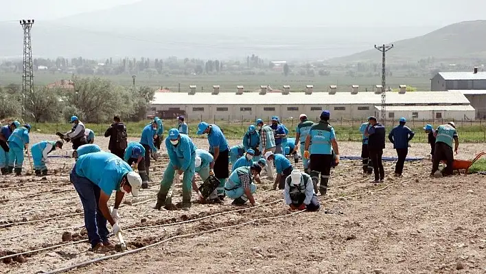 Başkan Çolakbayrakdar: 