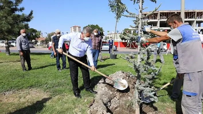 Palancıoğlu: Fidan değil, ağaç dikiyoruz