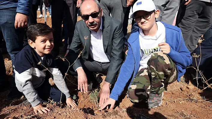 Başkan Gülsoy: Ağaç dalıyla gürler...