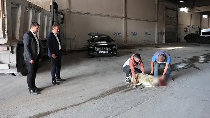 Başkan o iş kazasız belasız bitince kurban kesti