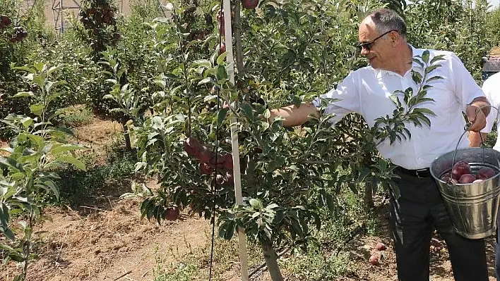 Başkan Öztürk: 'Yahyalı'da elma üretimi modernleşmeli'
