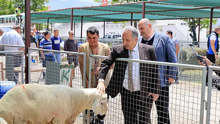 Başkan Yalçın kurban pazarını ziyaret etti