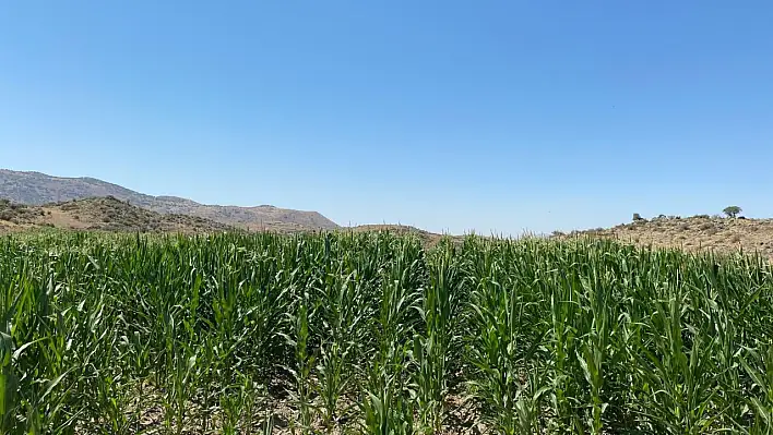 Başkanı Özdoğan'dan Karpuzseki'ne destek