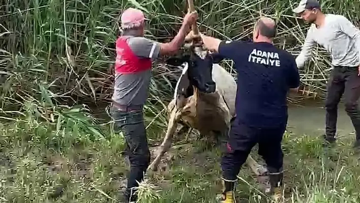 Vinçle kurtuluş!