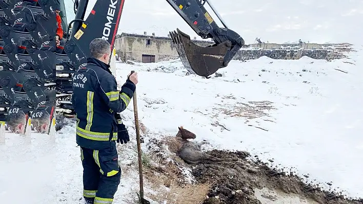 Bataklığa saplandı! Kayseri OSB İtfaiyesi kurtardı