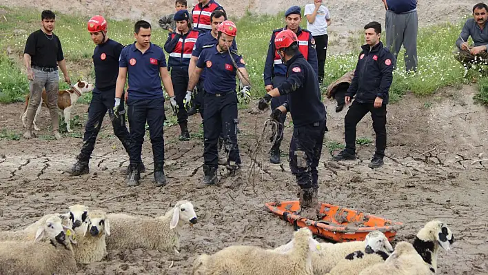 Bataklığa saplanmışlardı! Bakın nasıl kurtarıldılar?