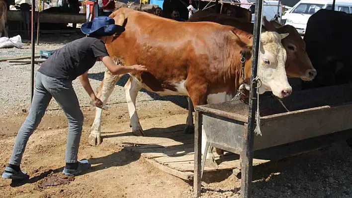 Bayram yaklaştı pazarlıklar kızıştı...