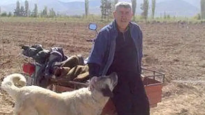 BEĞENEN OLURSA ADAY OLACAK!