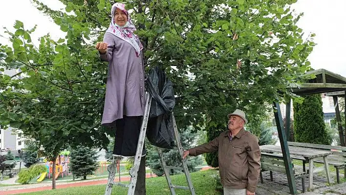 Vatandaşlar ücretsiz ıhlamura ulaştı