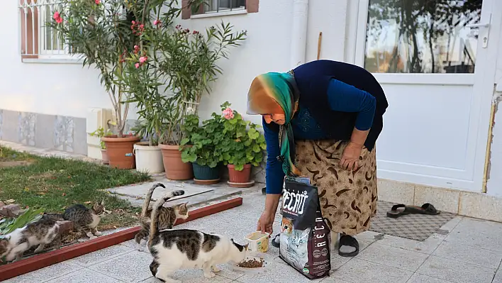 Belediye, Pembe teyzenin istediğini geri çevirmedi!