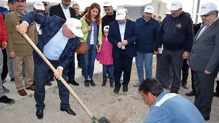 Fidanlar Adli Psikiyatri Hastane Kampüsünde Toprakla Buluştu