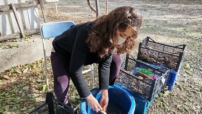 4 bin yıl öncesini aydınlatan Kültepe'ye 'gönüllü' ilgisi