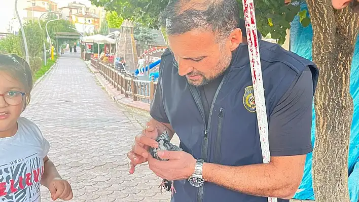 Boruya sıkışan kuş kurtarıldı!