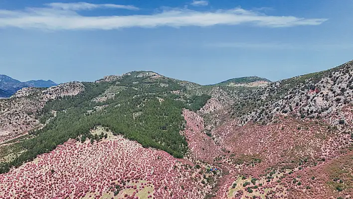 Bu görüntüler Kayseri'nin komşusunda çekildi!
