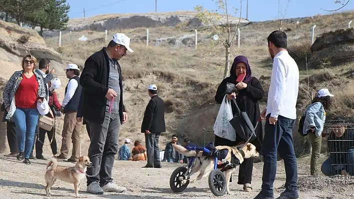 Talas'ta sokak köpeklerine özel köy...