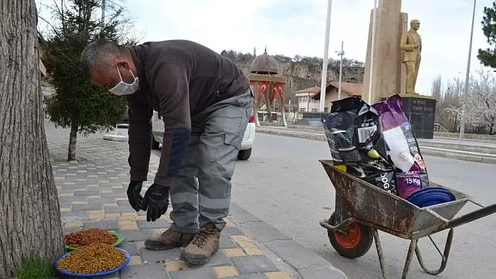 Bünyan Belediyesi sokak hayvanlarını unutmuyor