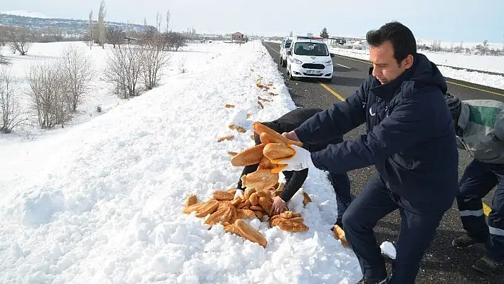 Bünyan Belediyesi sokak ve yaban hayvanlarını unutmuyor