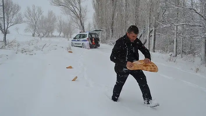 Bünyan Belediyesi yaban hayvanlarına yem bıraktı
