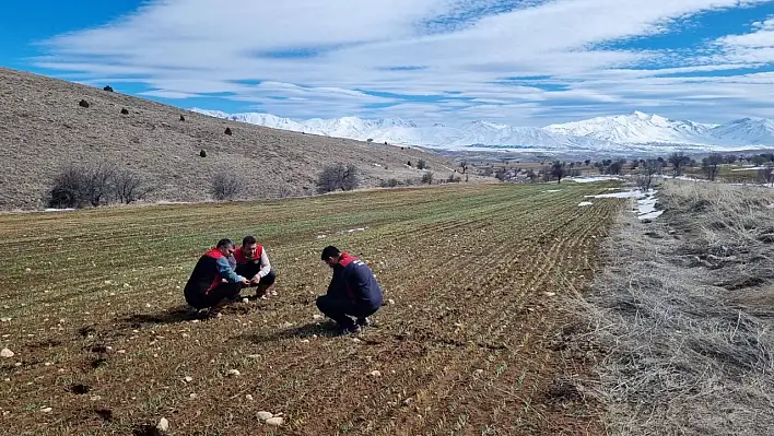 İl Müdürü Bünyan'da tarımın nabzını tuttu!