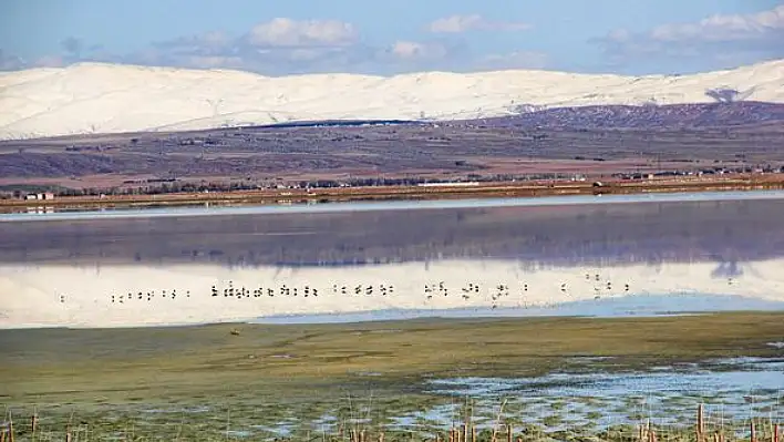 Burası Kayseri! Siz hala görmediniz mi? Hayati öneme sahipler...