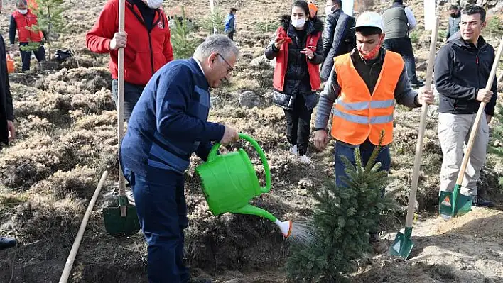 Büyükkılıç: 3 yılda 300 bin fidan diktik