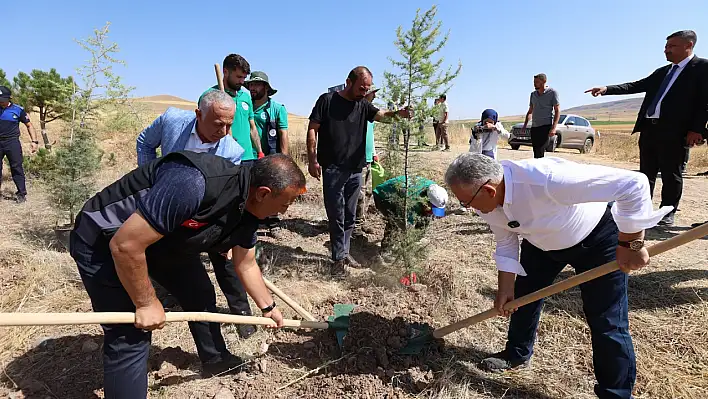 Büyükkılıç fidan dikti