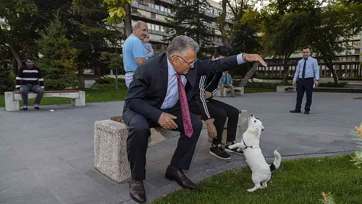 Bin 570 sahipsiz sokak hayvanı sahiplendirildi