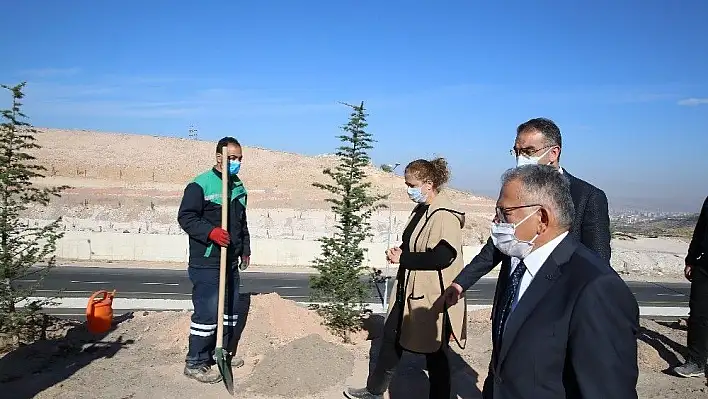 Büyükşehir 100 bin fidanı toprakla buluşturuyor