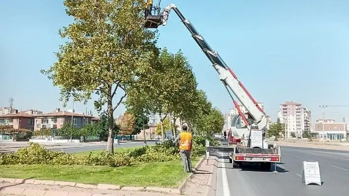 Büyükşehir'den hummalı sonbahar çalışması