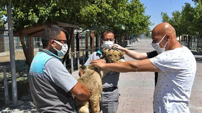 Harikalar Diyarı minik üyeleri ile şenlendi