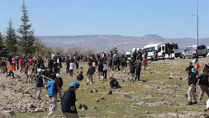 Büyükşehir ile fidanlar fidan dikti