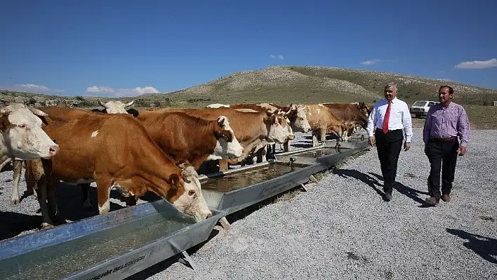 Büyükşehir'in 2018 kırsal yatırımı 110 milyon TL