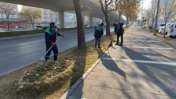 Büyükşehir kentin her köşesini temizliyor!