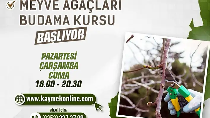 Bu kurs ile ağaçların verimi artacak