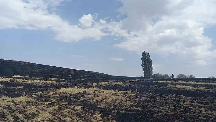 Arızalanan trafo 400 dönüm araziyi küle çevirdi