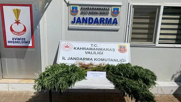 Çeşitli suçlardan 14 şahıs yakalandı