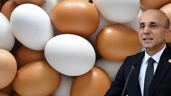 CHP'li Aşkın Genç: Ekonomi politikası çökmüştür