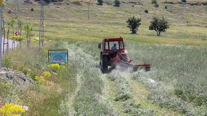 Talas'ta hasat başladı...