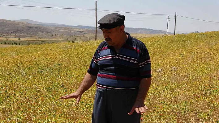 Ziraat Odaları Koordinasyon Kurulu Başkanı Güneş: Çiftçiler memnun!