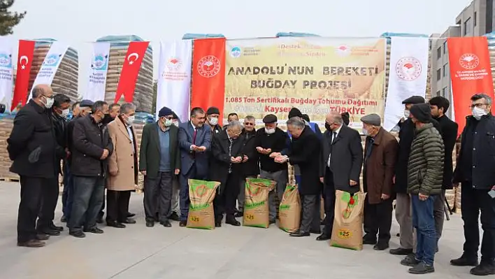 Çiftçilere buğday tohumu dağıtıldı