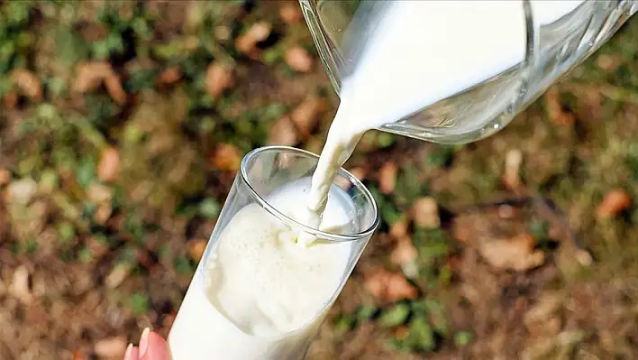 Çiğ süte zam geldi bakın ne kadar oldu?