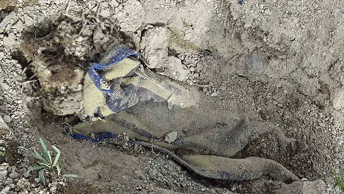 Battaniyeye sarılarak gömülmüş erkek cesedi bulundu