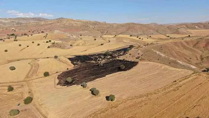 Çocukların ateşle oyunu pahalıya mal oldu, 50 dönüm buğday tarlası kül oldu